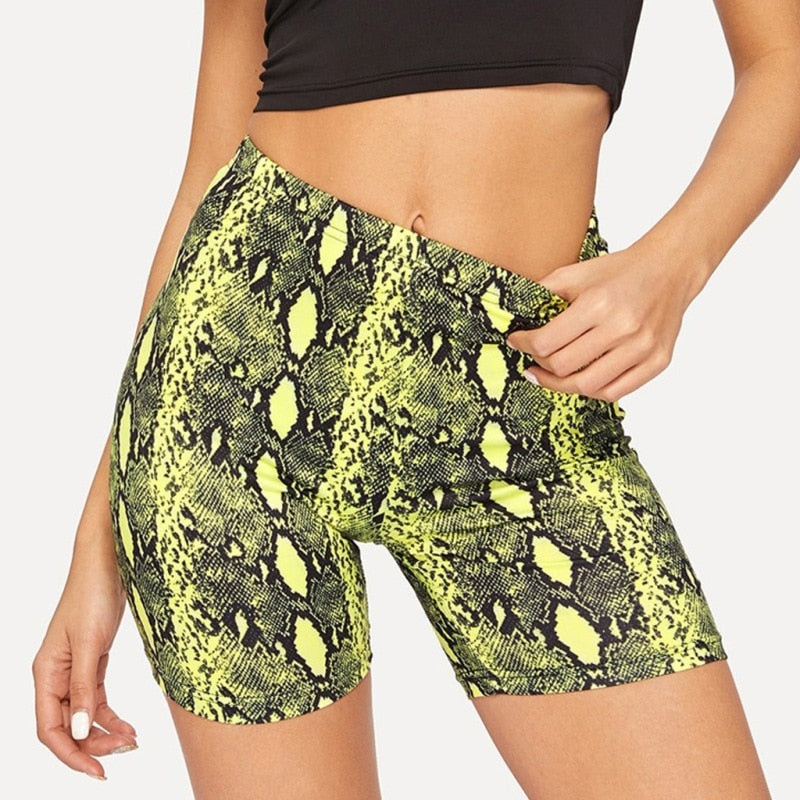 Snake Print High Waist Shorts