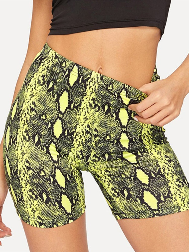 Snake Print High Waist Shorts